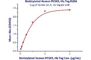 Immobilized Human LDL R, His Tag (Cat# LDR-H5224) at 10 μg/mL (100 μl/well) can bind Biotinylated Human PCSK9 (Cat# PC9-H82E7 ) with a linear range of 0. (PCSK9 Protein (AA 31-692) (His tag,AVI tag,Biotin))