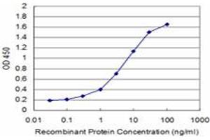 Detection limit for recombinant GST tagged ZFHX3 is approximately 0. (ZFHX3 antibody  (AA 2811-2910))