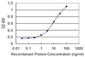 Detection limit for recombinant GST tagged NAE1 is 0. (NAE1 antibody  (AA 1-534))