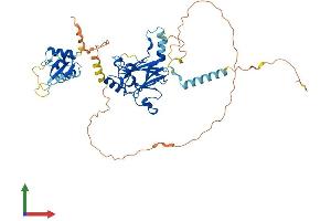 AlphaFold protein structure predicition of Mouse Recombinant Irf5 Protein, UniprotID P56477 (IRF5 Protein (AA 1-497) (His tag))