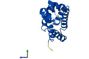 AlphaFold protein structure predicition of Human Recombinant NGB Protein, UniprotID Q9NPG2