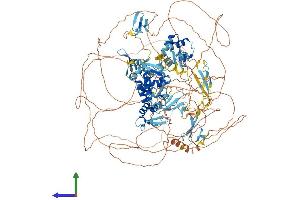 Protein Structure (PS) image for Neural Precursor Cell Expressed, Developmentally Down-Regulated 4, E3 Ubiquitin Protein Ligase (NEDD4) (AA 1-1319) protein (His tag) (ABIN7554693)