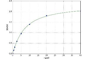 SMAD, Mothers Against DPP Homolog 2 (SMAD2) ELISA Kit