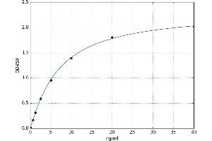 A typical standard curve (SMAD2 ELISA Kit)