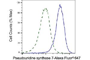 Validation of Pseudouridine synthase 7 knockdown using flow cytometry. (PUS7 antibody)