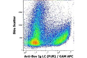 Flow cytometry surface staining pattern of bovine peripheral whole blood stained using anti-bovine Ig Light Chains (IVA285-1) purified antibody (concentration in sample 3 μg/mL, GAM APC). (Mouse anti-Cow Ig Light Chains Antibody)