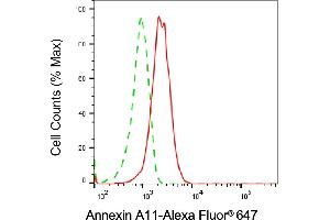 Flow cytometric analysis of Annexin A11 expression in HepG2 cells using Annexin A11 antibody (ABIN7797616), 1:2,000). (Annexin A11 antibody)