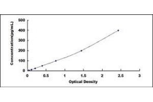 Typical standard curve (C5A ELISA Kit)