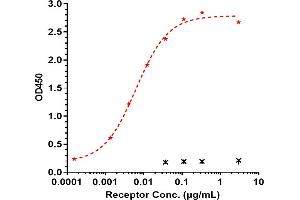 Immobilized Ma TREM2 His at 2 μg/mL can bind Anti-TREM2 Reference Antibody (Py314), EC50=0.