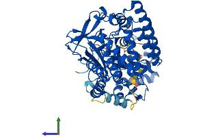 AlphaFold protein structure predicition of Human Recombinant SMYD1 Protein, UniprotID Q8NB12 (SMYD1 Protein (AA 1-490) (His tag))
