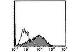 Flow Cytometry (FACS) image for anti-Interleukin 1 Receptor-Like 1 (IL1RL1) antibody (FITC) (ABIN2853578) (IL1RL1 antibody  (FITC))