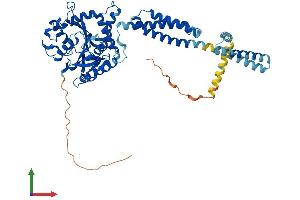 AlphaFold protein structure predicition of Mouse Recombinant Atl1 Protein, UniprotID Q8BH66 (ATL1 Protein (AA 1-558) (His tag))