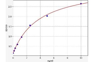 PPP1R9B ELISA Kit