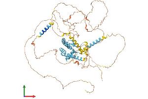 Protein Structure (PS) image for A Kinase (PRKA) Anchor Protein 8 (AKAP8) (AA 1-687) protein (His tag) (ABIN7565007)
