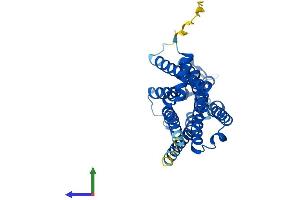 Protein Structure (PS) image for Adenosine A1 Receptor (ADORA1) (AA 1-326) protein (His tag) (ABIN7557579)