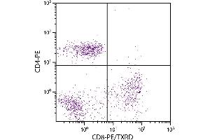 Human peripheral blood lymphocytes were stained with Mouse Anti-Human CD8-PE/TXRD. (CD8 antibody  (PE,Texas Red (TR)))
