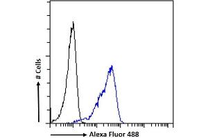 (ABIN571248) Flow cytometric analysis of paraformaldehyde fixed Jurkat cells (blue line), permeabilized with 0. (Septin 4 antibody  (AA 425-435))