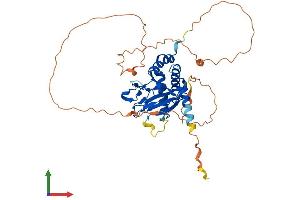 Protein Structure (PS) image for Egl-9 Family Hypoxia Inducible Factor 2 (EGLN2) (AA 1-407) protein (His tag) (ABIN7553791)
