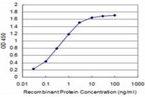Detection limit for recombinant GST tagged KCNK10 is approximately 0. (KCNK10 antibody  (AA 439-538))