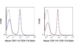 C57Bl/6 bone marrow cells were stained with 0. (Ly76 antibody  (Biotin))