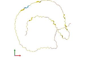 AlphaFold protein structure predicition of Human Recombinant LINC00612 Protein, UniprotID Q8N6U2