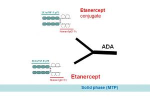Image no. 2 for Etanercept Antibody ELISA Kit (ABIN2862659)