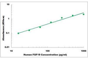 Representative Standard Curve (FGF19 ELISA Kit)