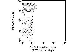 Two-color analysis of the expression of Vbeta 8 TCR on peripheral lymphocytes. (Vbeta 8 TCR antibody)