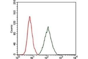 Flow Cytometry (FACS) image for anti-RAP1A, Member of RAS Oncogene Family (RAP1A) antibody (ABIN1108827) (RAP1A antibody)