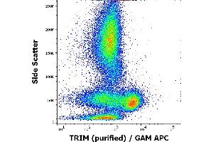 Flow cytometry intracellular staining pattern of human peripheral whole blood using anti-TRIM (TRIM-04) purified antibody (concentration in sample 1 μg/mL, GAM APC). (TRIM antibody  (Intracellular))