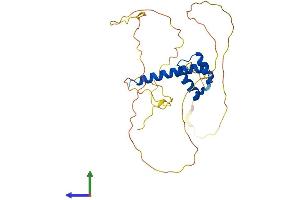AlphaFold protein structure predicition of Human Recombinant HOXC12 Protein, UniprotID P31275 (HOXC12 Protein (AA 1-282) (His tag))