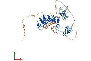 AlphaFold protein structure predicition of Mouse Recombinant Clip3 Protein, UniprotID B9EHT4 (CLIP3 Protein (AA 1-547) (His tag))