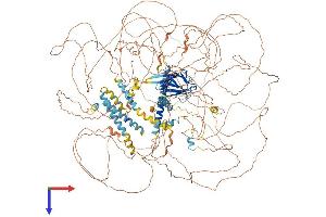 AlphaFold protein structure predicition of Human Recombinant CEP170B Protein, UniprotID Q9Y4F5 (KIAA0284 Protein (AA 1-1589) (His tag))