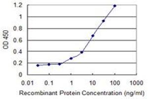 Detection limit for recombinant GST tagged ACTN4 is 0. (alpha Actinin 4 antibody  (AA 592-701))