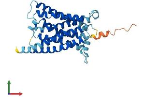AlphaFold protein structure predicition of Human Recombinant MRGPRG Protein, UniprotID Q86SM5 (Mrgprg Protein (AA 1-289) (His tag))