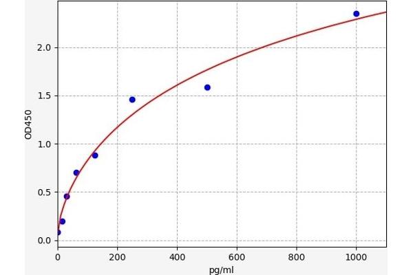 TET2 ELISA Kit