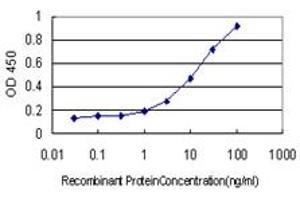Detection limit for recombinant GST tagged TOP3B is approximately 1ng/ml as a capture antibody. (TOP3B antibody  (AA 1-862))