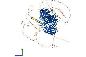 Protein Structure (PS) image for Echinoderm Microtubule Associated Protein Like 4 (EML4) (AA 1-988) protein (His tag) (ABIN7563736)