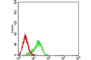 Flow cytometric analysis of K562 cells using BCL2L2 mouse mAb (green) and negative control (red). (BCL2L2 antibody  (AA 6-118))