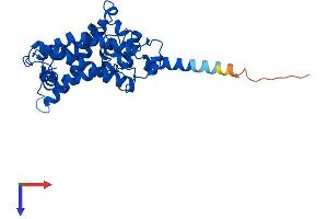 Protein Structure (PS) image for Sterol-C5-Desaturase (SC5DL) (AA 1-299) protein (His tag) (ABIN7562666)