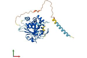 AlphaFold protein structure predicition of Mouse Recombinant St3gal2 Protein, UniprotID Q11204 (ST3GAL2 Protein (AA 1-350) (His tag))