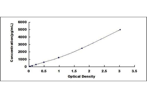 MUC5AC ELISA Kit