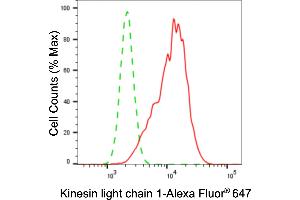 Flow cytometric analysis of kinesin light chain 1 expression in HepG2 cells using kinesin light chain 1 antibody (ABIN7799210), 1:2,000). (Recombinant KLC1 antibody)