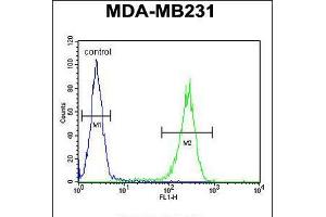 Flow cytometric analysis of MDA-MB231 cells (right histogram) compared to a negative control cell (left histogram). (RAB11FIP2 antibody  (AA 345-374))