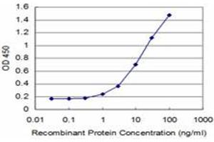 Detection limit for recombinant GST tagged MEF2A is approximately 1ng/ml as a capture antibody. (MEF2A antibody  (AA 71-170))