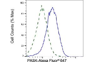 Validation of PASK knockdown using flow cytometry. (PASK antibody)
