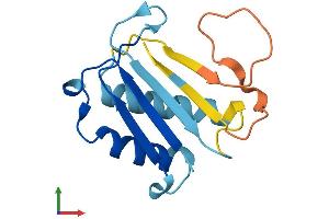 AlphaFold protein structure predicition of Human Recombinant DDTL Protein, UniprotID A6NHG4 (DDTL Protein (AA 1-134) (His tag))