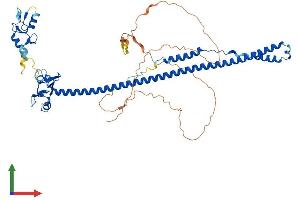 AlphaFold protein structure predicition of Mouse Recombinant Trim8 Protein, UniprotID Q99PJ2