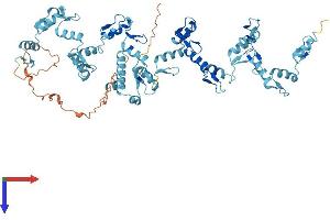Protein Structure (PS) image for Zinc Finger Protein 30 (ZFP30) (AA 1-623) protein (His tag) (ABIN7545413)