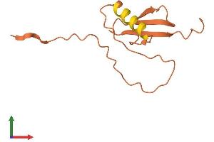 AlphaFold protein structure predicition of Mouse Recombinant Fcor Protein, UniprotID P0DJI6 (Fcor Protein (AA 1-106) (His tag))